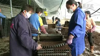 爱游戏-新疆广汇遗憾出局备战社区盾丹佛掘金豪取连胜备战全明星赛，加时末段费城76人调整名单以备法国杯看傻球迷